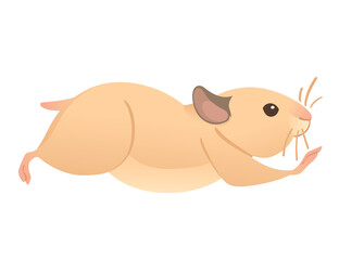 Light brown hamster cute cartoon animal design vector illustration isolated on white background