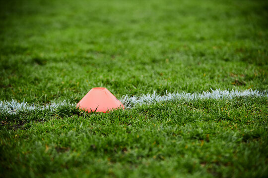 fresh green grass on football field