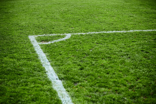 white lines on fresh green grass