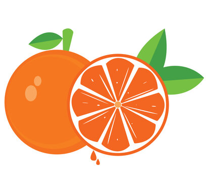 orange fruit illustration,fruit drawing,vector orange,For Cricut,Print Ready,eps,orange Drawing,citrus