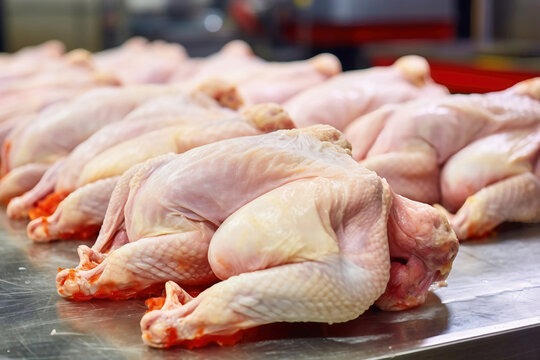 Poultry farm production of chicken meat. Industrial production and packaging of chicken meat. Chicken carcases and tenderloin. modern food industry.