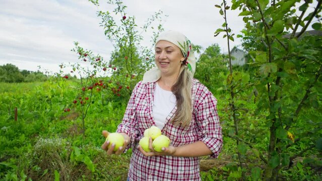 Bright colors and the aroma of fresh apples make a woman happy when she holds them in her hands. High quality 4k footage