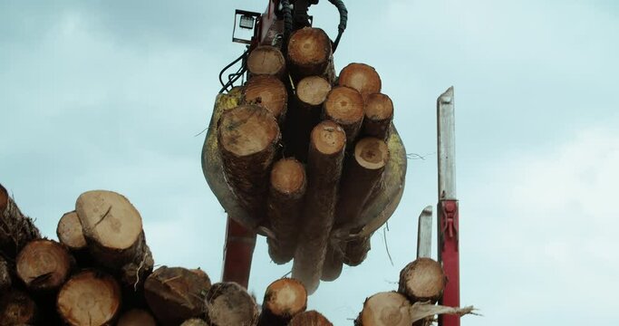 Forest truck unloading pine tree trunk using log grub crane in lumber factory