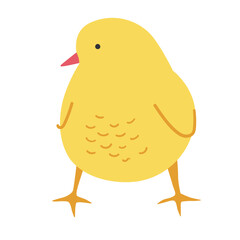 Little Chick Illustration