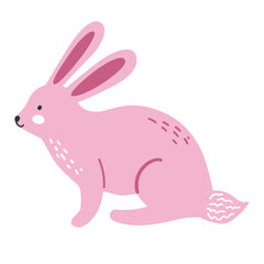 Rabbit Or Hare Illustration