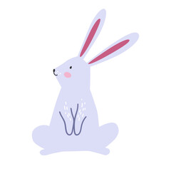 Rabbit Or Hare Illustration