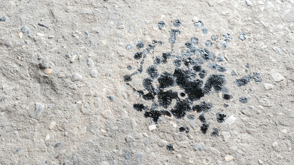 Abstract black engine oil drop on concrete floor texture backgruond.
Automobile garage dirty old...