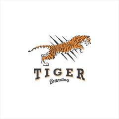Tiger Logo Design Vector Image
