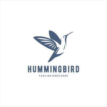Hummingbird Colibri Logo Design Vector Image