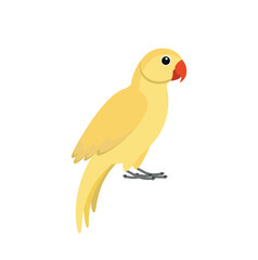 Yellow indian parrot
