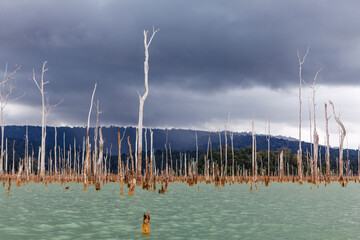 Dark clouds above the Brokopondo lake reservoir in Suriname, South America