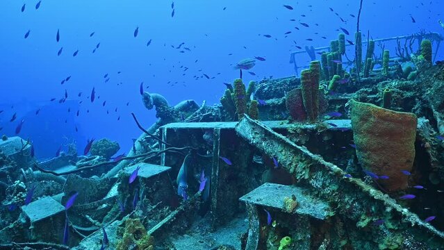 Fish and marine life thrive amongst the wreckage of a sunken ship in Cayman Brac. The Russian vessel was sunk deliberately to promote such bustling underwater life.