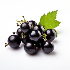 Black curant isolated on white background