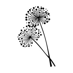 Decorative dandelion sketch. Hand drawn ink flower