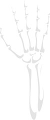 Skeleton hand gesture, isolated vector open bony palm. Skeletal arm with long, slender fingers reaching out. Macabre reminder of mortality, eerie anatomical structure for Halloween or medical designs