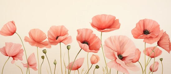 Watercolor poppies on a isolated pastel background Copy space