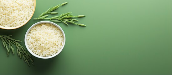 Green jasmine pearl rice on a isolated pastel background Copy space