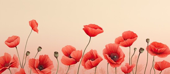 Watercolor poppies on a isolated pastel background Copy space