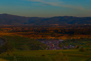 Weinberge Reben