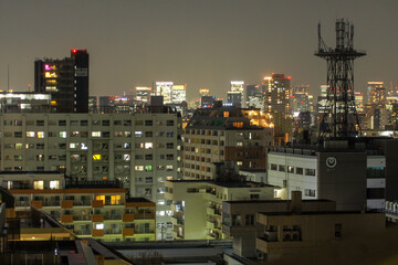 Panoramic view of night city Tokyo