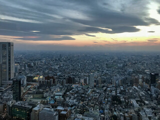 Fototapeta na wymiar Panoramic view of city Tokyo in the evening