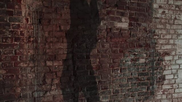  Shadow Of Sexy Dancing Girl On Wall