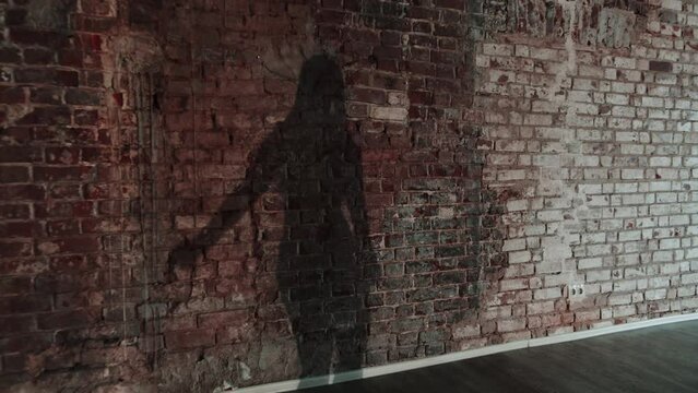 Shadow Of Sexy Dancing woman On Wall
