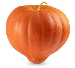 Big sweet orange pumpkin. Symbol of autumn, Halloween, Thanksgiving day and harvest festival....