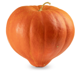 Big sweet orange pumpkin. Symbol of autumn, Halloween, Thanksgiving day and harvest festival. Isolated on transparent background with soft shadow