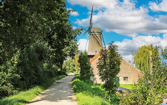 Beautiful idyllic rural cycle path through green forest countryside, old wind mill - Hompesche molen, Stevensweert, Netherlands