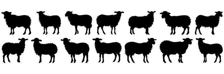 Naklejka premium Sheep silhouettes set, large pack of vector silhouette design, isolated white background