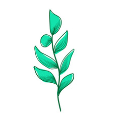 green leaves isolated on white