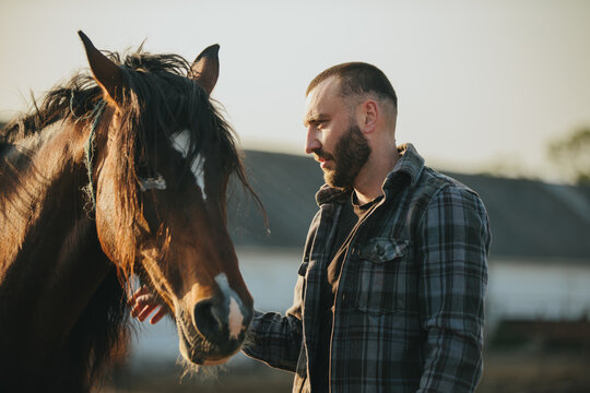 A young farmer works in a paddock with horses. A young man takes care of horses on a farm.