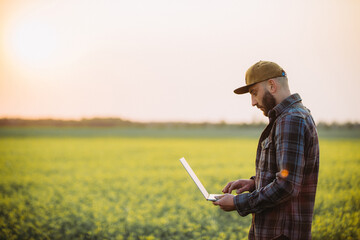 Farmer holding laptop,tablet in rapeseed field, to use a fertilization log program. Plant growth, production and contact online customer.