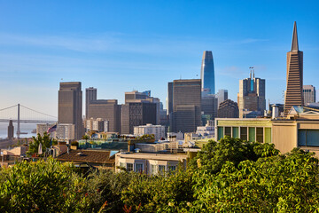 San Francisco downtown city view from Coit Tower on bright summer day