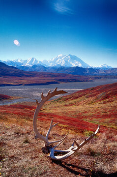Alaska Denali Mount Mc Kinley
