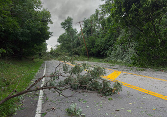 A downed tree and branches block a street in an Ohio town after a heavy storm during the night.