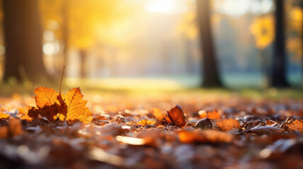 Beautiful yellow and brown leaves in an autumn park. Autumn leaves covering the ground in the autumn forest. Golden autumn forest in sunlight. Defocused view, blurred background. - Powered by Adobe