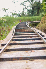 Obraz premium railway in the forest