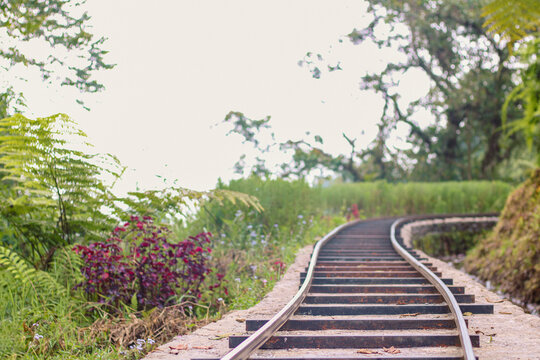 railway in the forest