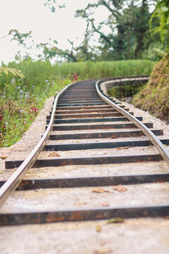 railway in the forest