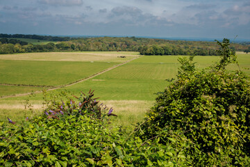 Fototapeta na wymiar Sussex countryside near Cooksbridge in East Sussex in early September