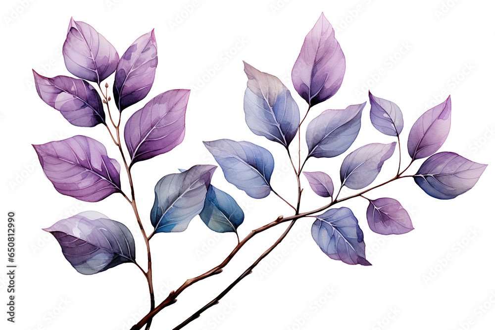 Wall mural Branch with leaves on transparent background