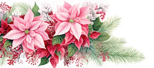   Christmas red Poinsettia floral pattern on white background, panoramic  © nnattalli