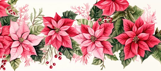 Fototapeten Christmas red flowers on a white background  © nnattalli