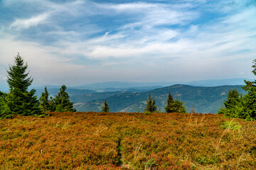 On the tourist trail.