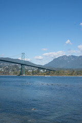 suspension bridge over the river