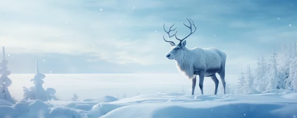 Vitrage gordijnen Toilet Reindeer standing in a snowy landscape