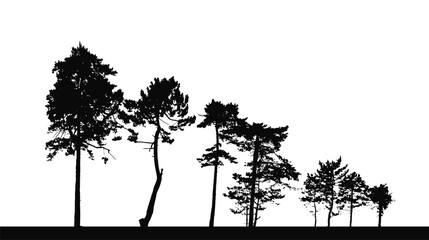 different pine trees, silhouettes set