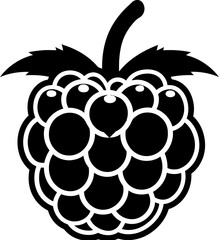 Raspberries icon